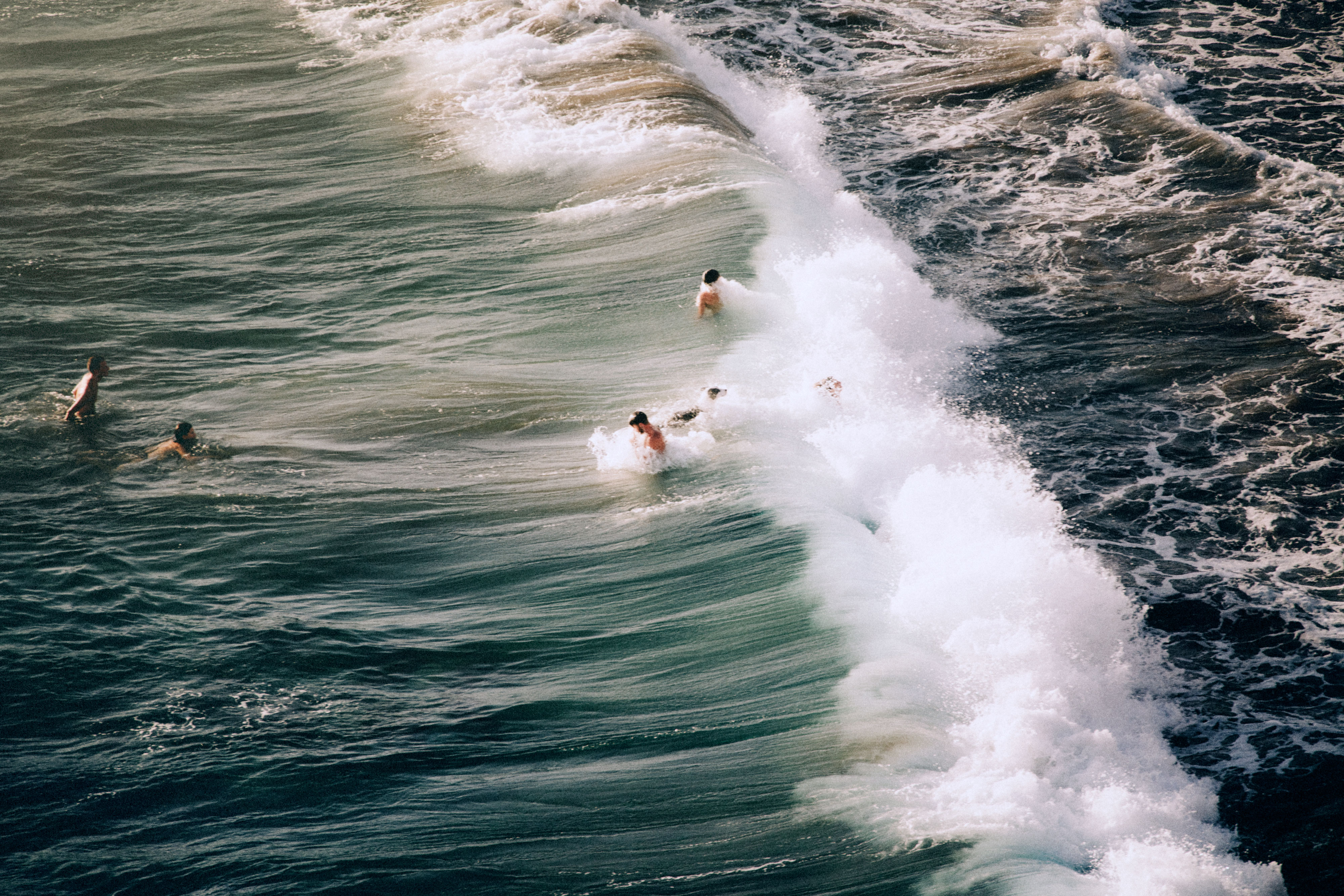 projekt-hippie-erbe-meer