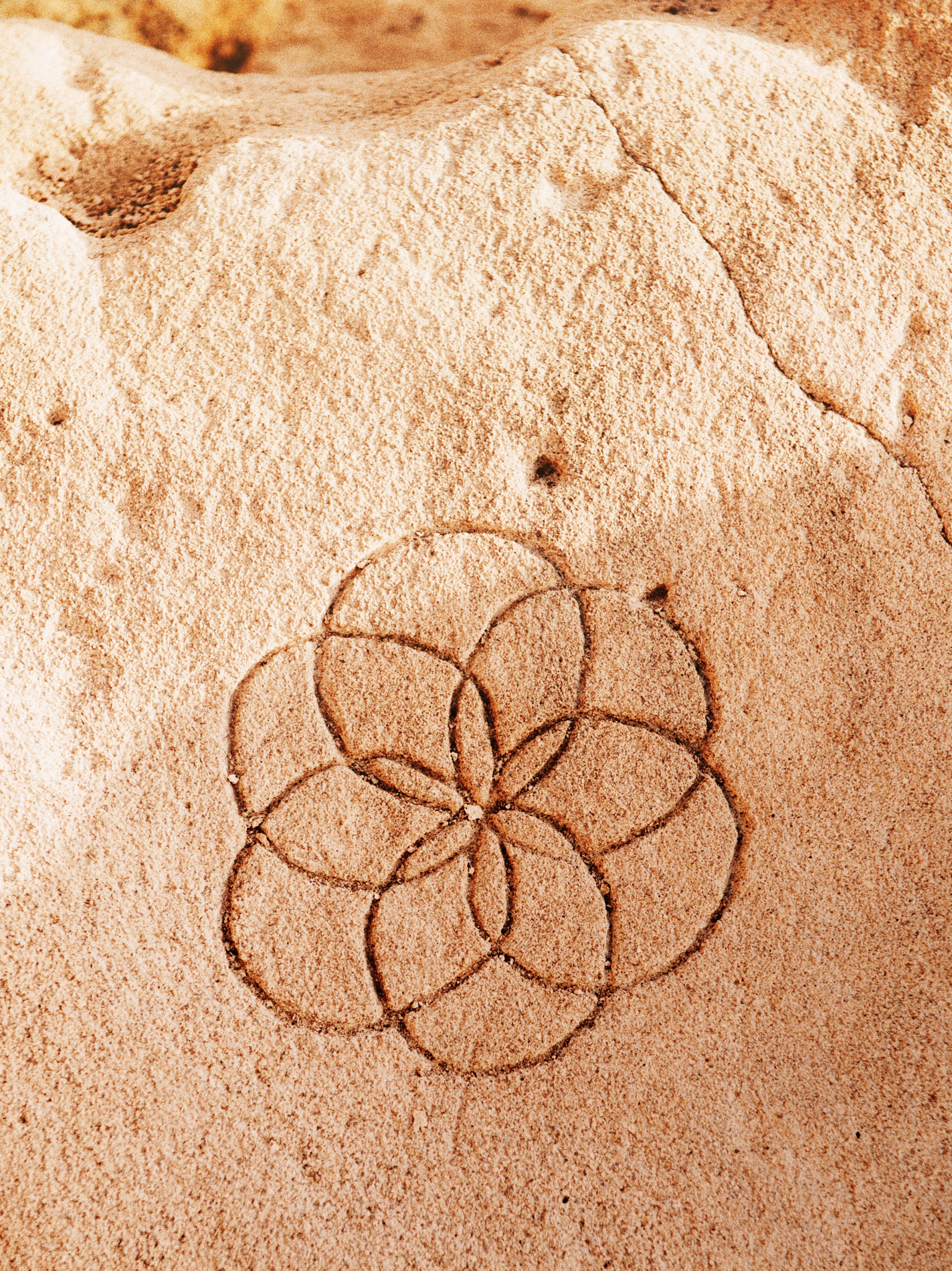 projekt-hippie-erbe-symbol